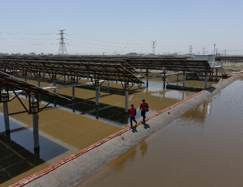 九游online(中国)省电线电缆行业九游online(中国) 九游online(中国)省电线电缆行业九游online(中国)